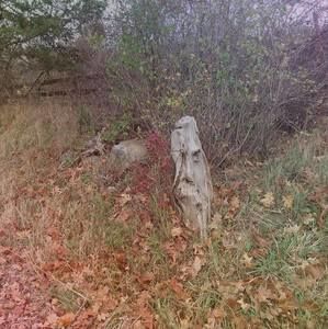 Meet your Posher, Gail